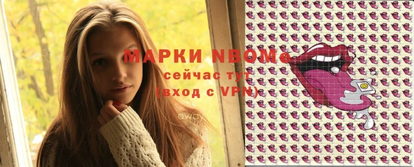тгк Верея