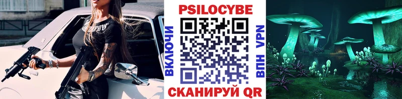Галлюциногенные грибы GOLDEN TEACHER KRAKEN как зайти Электроугли наркота